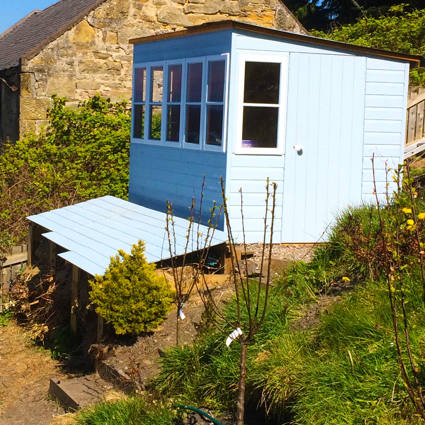 Shire Sun Pent Shiplap Potting Shed 8x6