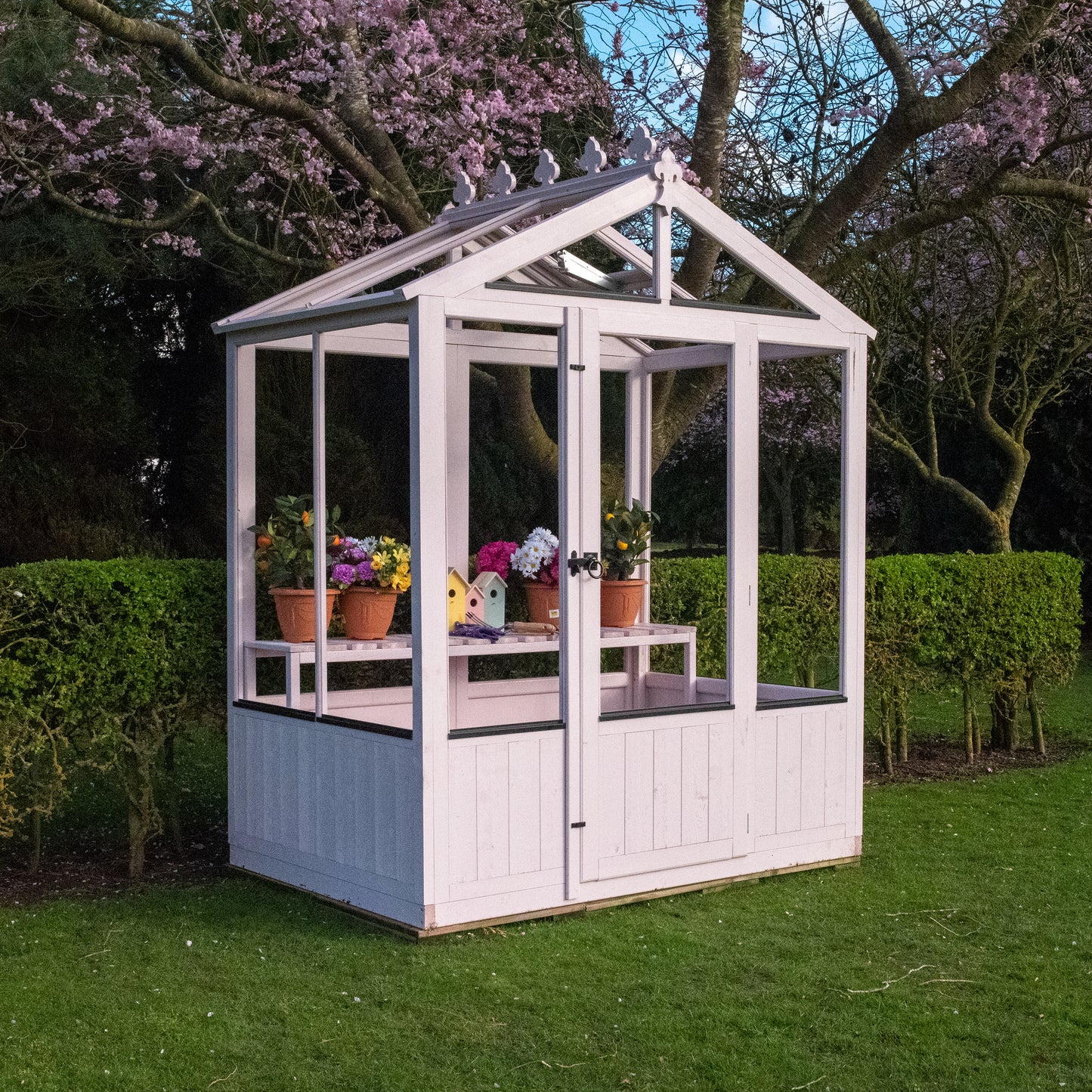 Shire Holkham Wooden Apex Greenhouse 4' x 6'