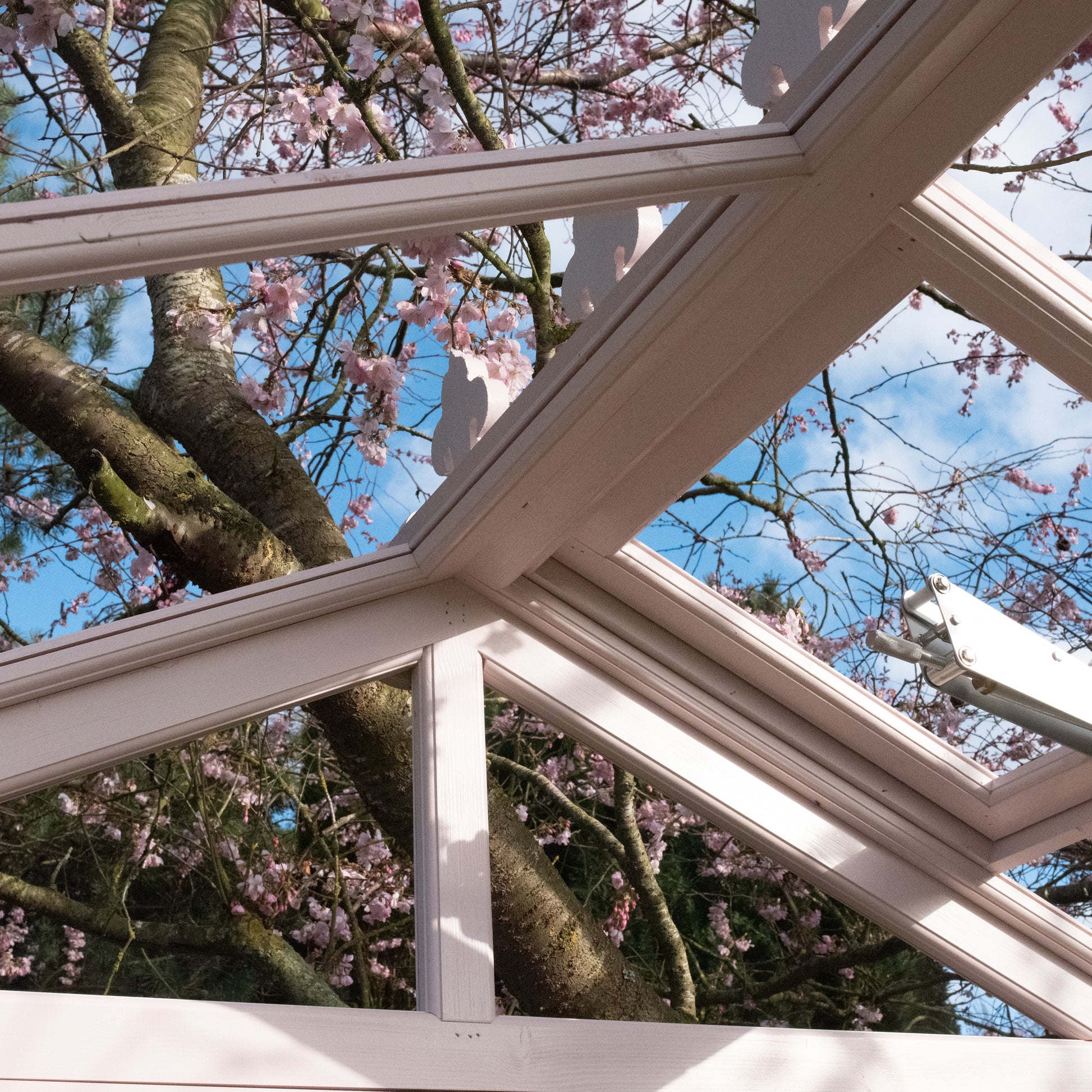 Shire Holkham Wooden Apex Greenhouse 4' x 6'