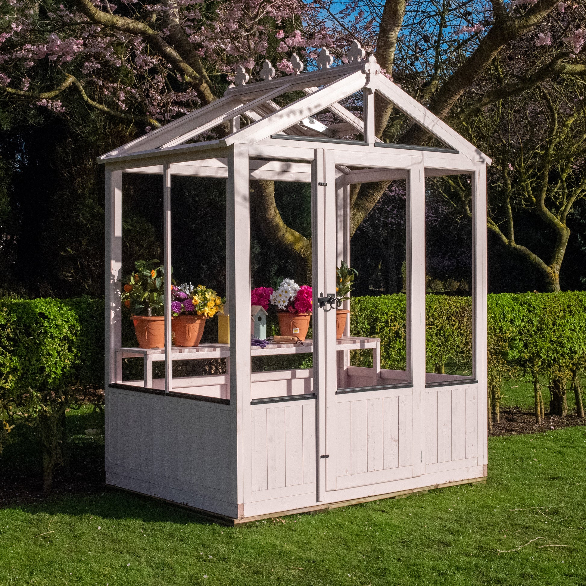 Shire Holkham Wooden Apex Greenhouse 4' x 6'